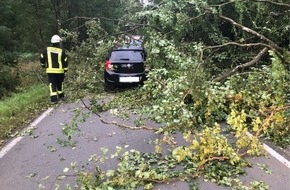 Polizeidirektion Wittlich: POL-PDWIL: Verkehrsunfall durch umgestürzten Baum