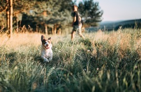 Bundesverband für Tiergesundheit e.V.: Krankheitserreger und Vektoren - ein gefährliches Duo