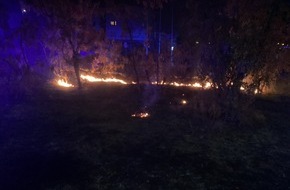 Feuerwehr Weil am Rhein: Feuerwehr Weil: Arbeitsreiches Wochenende f&uuml;r die Feuerwehr Weil am Rhein