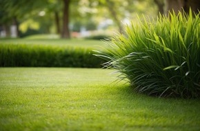 goodRanking Online Marketing Agentur: Garten- und Landschaftsbau: Häufige Fehler bei der Begrünung von Rasenflächen