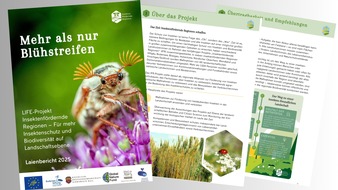 Global Nature Fund: EU-Projekt „Insektenfördernde Regionen“ zieht Bilanz: 2.200 Hektar für den Insektenschutz geschaffen