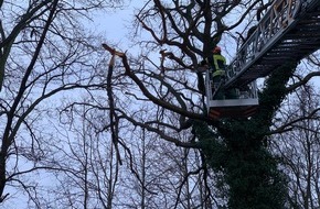 Feuerwehr Schermbeck: FW-Schermbeck: Sturmschaden auf dem Bollsweg