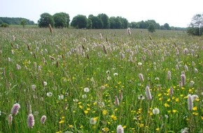 Deutscher Naturschutzring (DNR) e.V.: 250.000 Stimmen für lebendige Landwirtschaft / Umweltverbände beenden europaweite Online-Kampagne zur Bürgerbefragung über EU-Agrarpolitik