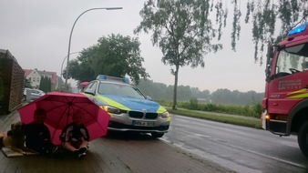 FW-WRN: Baum auf Straße im Fürstenhof