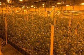 Zollfahndungsamt Hannover: ZOLL-H: Indoorplantage zur Aufzucht von Marihuana in Calbe (Saale) ausgehoben