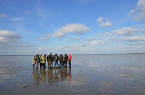 Nordsee-Tourismus-Service GmbH: PM Tipps für Ruhe, Naturerlebnis und kurze Auszeiten