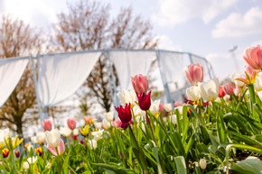 Vom 'Lost Place' zum 'Gr&uuml;nen Herzen' &ndash; Landesgartenschau Neuss 2026 er&ouml;ffnet am 16. April