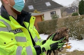 Polizeiinspektion Cuxhaven: POL-CUX: Unfall auf schneeglatter Autobahn endet glimpflich ++ Tierischer Einsatz in Langen