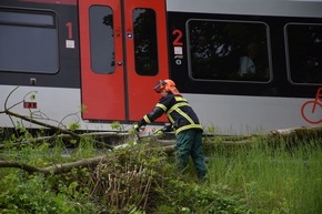 FW-MK: Baum fällt auf Bahnstrecke