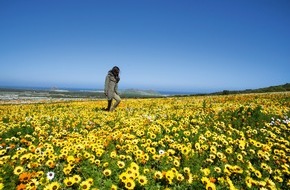 South African Tourism: „Florierendes” Südafrika - Südafrikas Flora ist einzigartig und zu jeder Jahreszeit atemberaubend