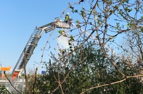 Polizeidirektion Landau: POL-PDLD: Germersheim - Brand in Kleingartenanlage Germersheim, In der Kranenbleis Montag, 26.04.2021, um 17.36 Uhr