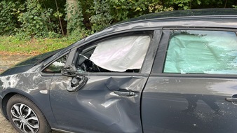 Polizeiinspektion Stade: POL-STD: Agathenburg: Erneut Verkehrsunfall zwischen Pkw und Pferd