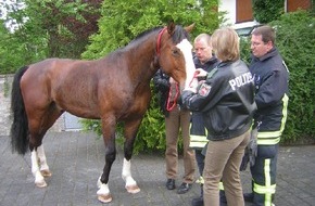 Polizeidirektion Göttingen: POL-GOE: (437/2006) Pferd flüchtet nach Göttingen