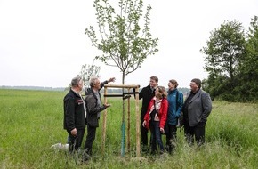 RheinEnergie AG: Obstbäume für Köln-Blumenberg -  RheinEnergie legt ein Offenlandbiotop an