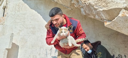 IFAW Deutschland: IFAW unterst&uuml;tzt Tierrettungsma&szlig;nahmen im Erdbebengebiet