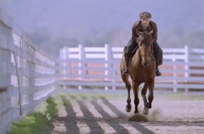 ProSieben: Drei Außenseiter und ein krummbeiniges Pferd: "Seabiscuit" auf ProSieben