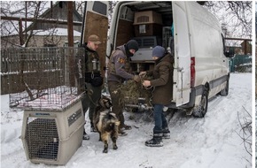 PETA Deutschland e.V.: Zwei Jahre Ukraine-Krieg: 15.000 gerettete Tiere, 1.500 Tonnen Nahrung, 1.300 sichere Plätze für Tiere und eine Tierklinik | Einblick in PETAs größtes karitatives Tiernothilfeprojekt