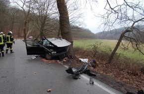 Polizeidirektion Landau: POL-PDLD: 19-jähriger F19-jähriger Fahrzeugführer bei Verkehrsunfall schwer verletzt, Eußerthal, L505, Samstag, 26.01.2019, 10:25 Uhr