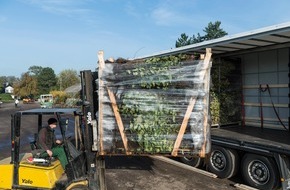 Bund deutscher Baumschulen (BdB) e.V.: Bund deutscher Baumschulen (BdB) e.V.: Iran-Konflikt treibt Spritpreise - Baumschulen sp&uuml;ren drastische Anstieg bei Frachtkosten