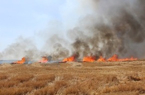 Polizeidirektion Kaiserslautern: POL-PDKL: Brand eines Getreidefeldes