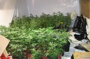 Polizeidirektion Göttingen: POL-GOE: (69/2009) Nach Zeugenhinweis - Cannabisplantage in Hinterhaus entdeckt