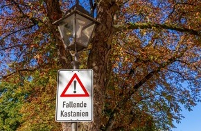 ADAC Hessen-Thüringen e.V.: Gefahr von oben / Autofahrer sollten bei der Parkplatzwahl auf Bäume achten