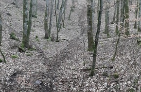 Polizeidirektion Wittlich: POL-PDWIL: Motorräder im Wald