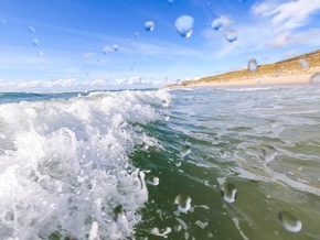 Eine Insel in ihrem Element