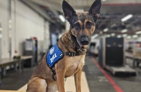 Hauptzollamt Frankfurt am Main: HZA-F: Mehr als 19 Kilogramm Kokain durch Frankfurter Flughafenzoll beschlagnahmt - Rauschgiftsp&uuml;rhund "Fly" erschn&uuml;ffelt Rauschgift im Reisekoffer