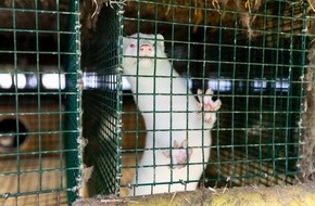 VIER PFOTEN - Stiftung für Tierschutz: VIER PFOTEN Statement: Estnisches Parlament beschliesst Verbot von Pelzfarmen