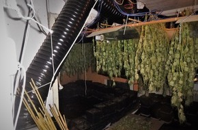 Kreispolizeibehörde Borken: POL-BOR: Isselburg - Cannabisplantage aufgeflogen / Tatverdächtiger festgenommen