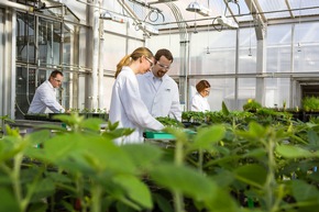 BASF mit aktuellen Pressefotos zur Halbjahrespressekonferenz am 24.07.2015 (FOTO)