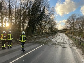 FW Mettmann: Sturmtief Zeynep - Feuerwehr Mettmann rückt zu zahlreichen Einsätzen im Stadtgebiet aus