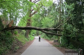 Feuerwehr Iserlohn: FW-MK: Umgestürzter Baum