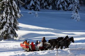 Winterlandschaften vom Feinsten / CEWE COLOR kürte Wettbewerbssieger 2010 (mit Bild)