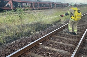 Freiwillige Feuerwehr Lehrte: FW Lehrte: Böschungsbrand zwischen den Bahngleisen bei Lehrte