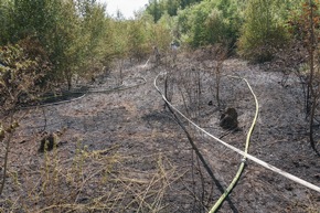 FW Menden: 1200m² Wald brannten an der Eupener Straße