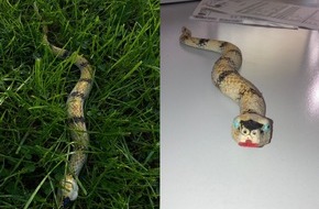 Polizei Hagen: POL-HA: Schlange im Vorgarten stellt sich als Spielzeug heraus