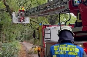 Freiwillige Feuerwehr Aurich: FW-AUR: Gefahrenstelle &uuml;ber Drehleiter entfernt