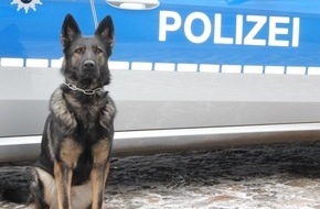 Polizei Hamburg: POL-HH: 171120-1. Eine vorläufige Festnahme nach Verdacht des Btm-Handels und der Hehlerei
