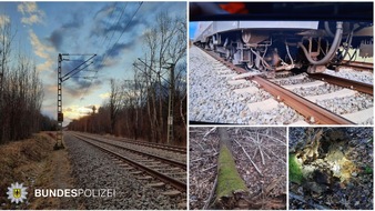 Bundespolizeidirektion München: Bundespolizeidirektion München: Bahnbetriebsunfall / S-Bahn kollidierte mit Baum - keine Verletzten