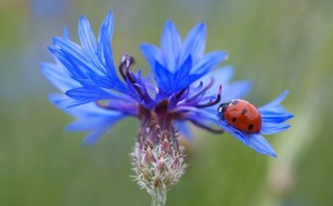 Global Nature Fund: Netzwerken bei der nationalen Fachkonferenz „Biodiversität im Lebensmittelsektor“