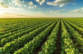 Lidl: Lidl führt die Superlist Umwelt Deutschland 2025 an / Proteinstrategie als Treiber der Vorreiterrolle im Lebensmitteleinzelhandel