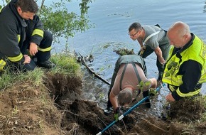 Freiwillige Feuerwehr der Stadt Goch: FF Goch: Dackel Rüde "Skyb" nach 8 Stunden aus Nutria-Bau befreit