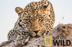 Fox Networks Group Germany: Fox Networks Group baut Verbreitung des Nature & Wildlifesenders Nat Geo Wild in Deutschland weiter aus