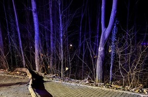 Feuerwehr Schermbeck: FW-Schermbeck: Umgestürzter Baum