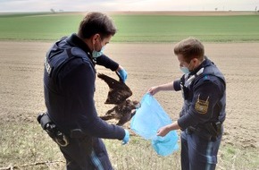 Komitee gegen den Vogelmord e. V.: Artenschutzkriminalität in Bayern: Behörden gehen verstärkt gegen Vogel-Wilderei und illegalen Handel mit Trophäen und Federn vor - Mehr als 185 registrierte Fälle seit 2010