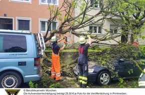 Feuerwehr München: FW-M: Umgestürzter Baum beschädig Pkw´s (Laim)