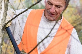 Bergwaldprojekt e.V.: Fast 20 Ehrenamtliche im Einsatz für einen stabilen Wald: Das Bergwaldprojekt im Naturpark Hohe Mark