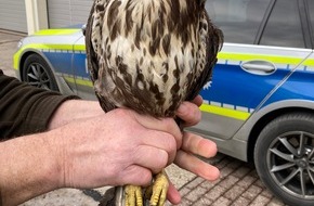 Polizeipräsidium Osthessen: POL-OH: Pressemitteilung der Polizeiautobahnstation Bad Hersfeld